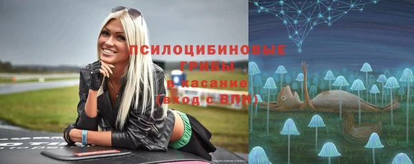 дмт Алексин