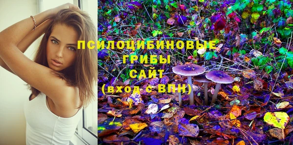 герыч Пестово