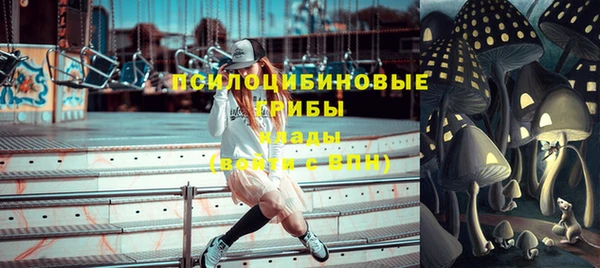 дмт Алексин