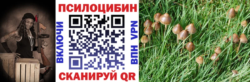 даркнет состав  Алексеевка  Псилоцибиновые грибы мицелий  купить наркоту 