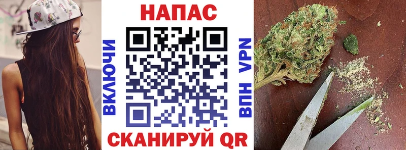 Каннабис сатива  цена   hydra   Алексеевка 